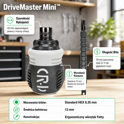 DriveMaster Mini™